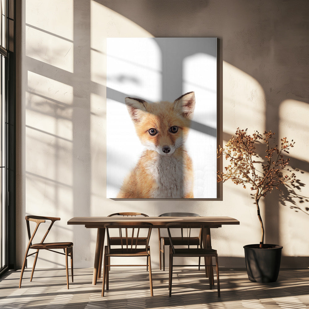 Lilla Räven | Canvas