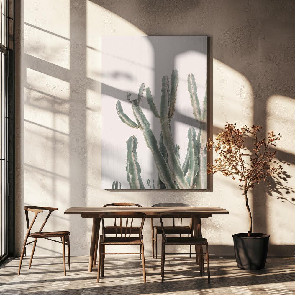 Soluppgångskaktus | Canvas