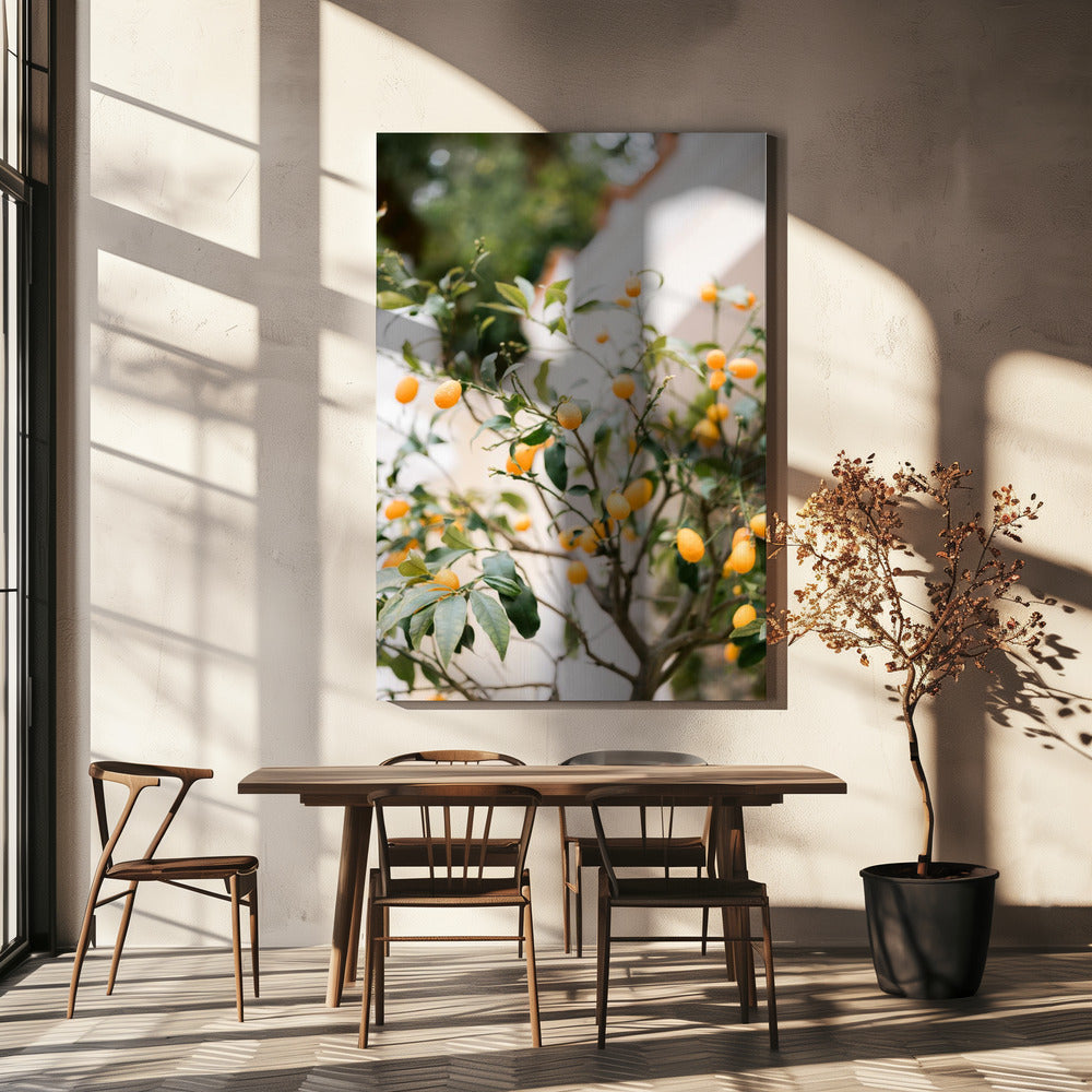 Capri orange | Toile