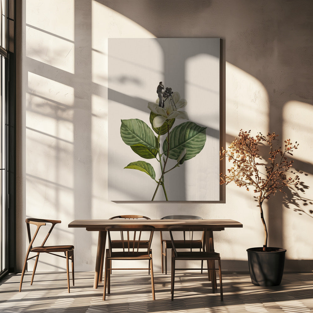 Photographe botanique vintage | Toile