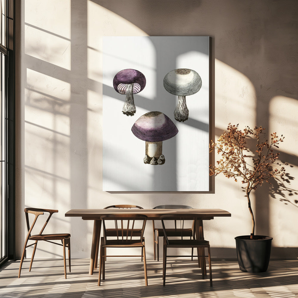 Champignon à araignée violette dessiné à la main | Toile