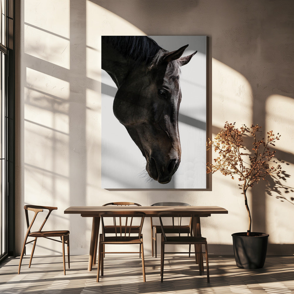 Bingo | Canvas