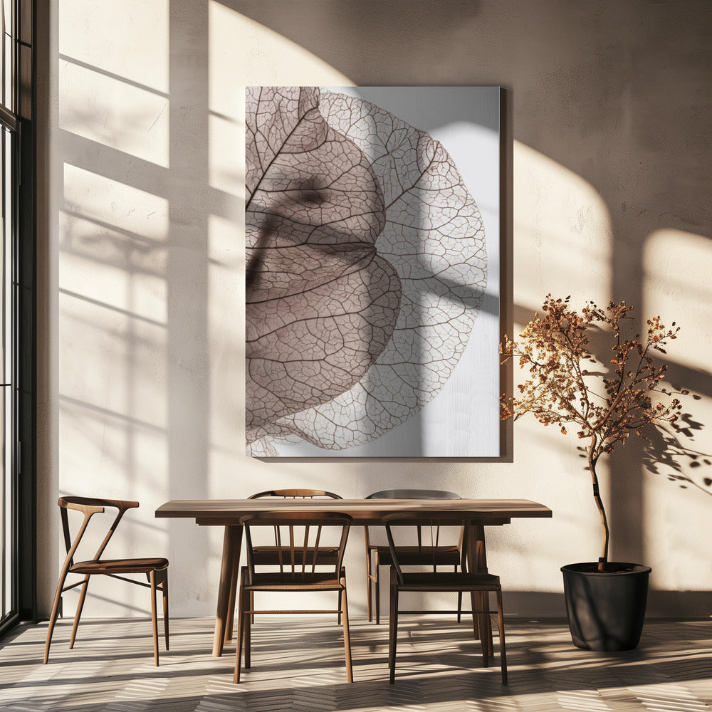 Île Bougainvillea | Toile