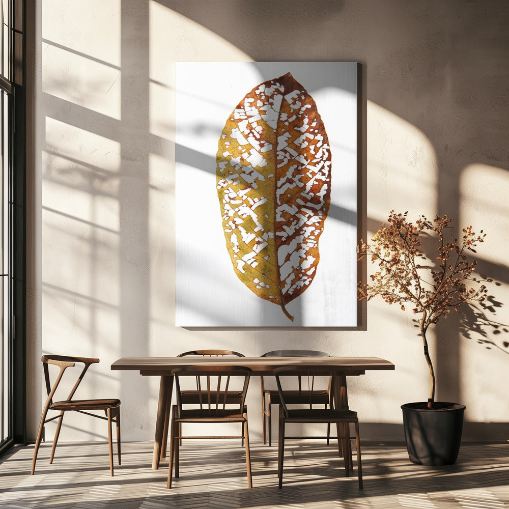 Feuille de forêt tropicale 02 | Toile