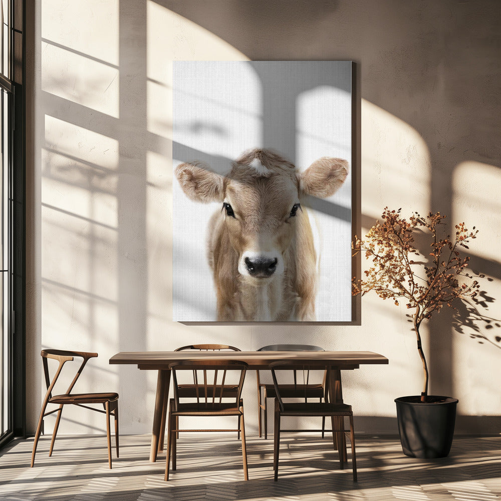 Coucou bébé vache | Toile