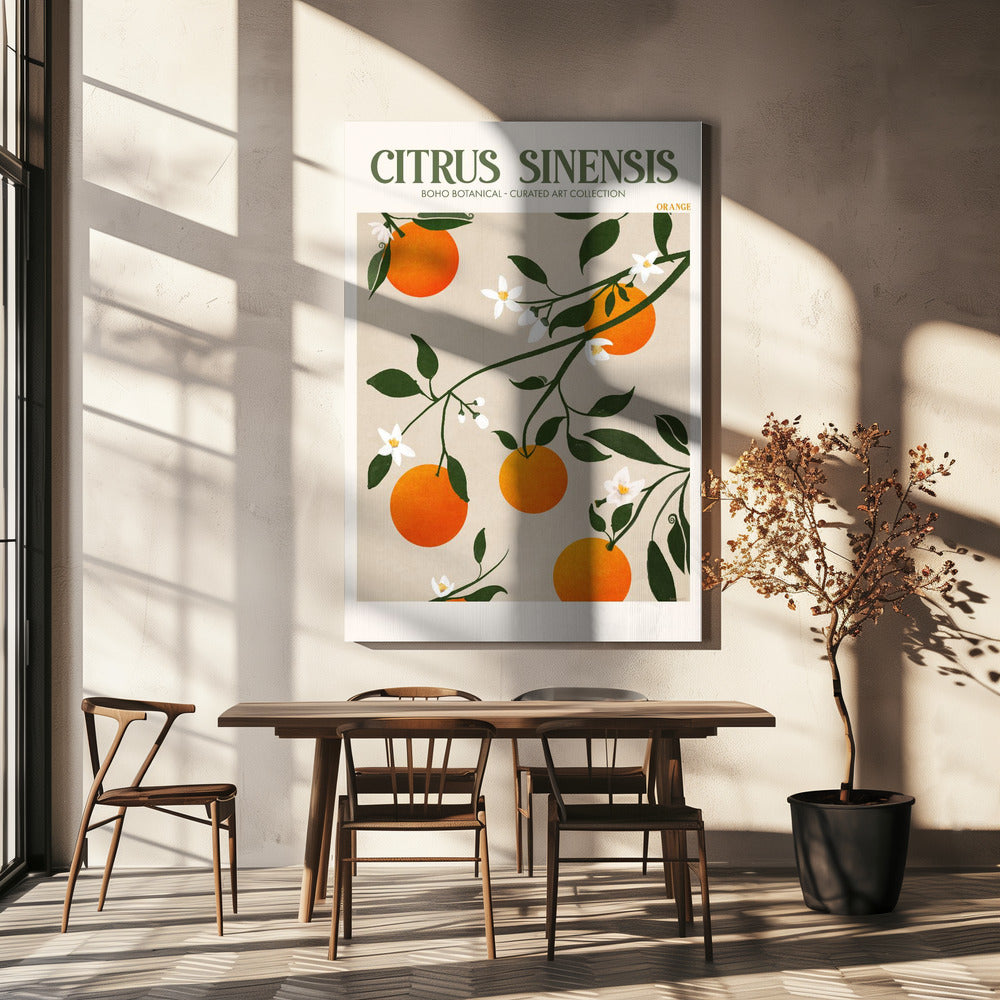 Citrus Sinensis - Orange | Toile