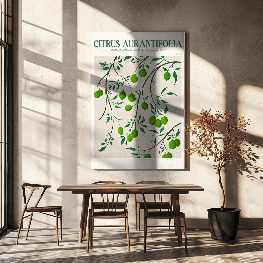 Citrus Aurantifolia-Citron vert | Tableaux sur Toile
