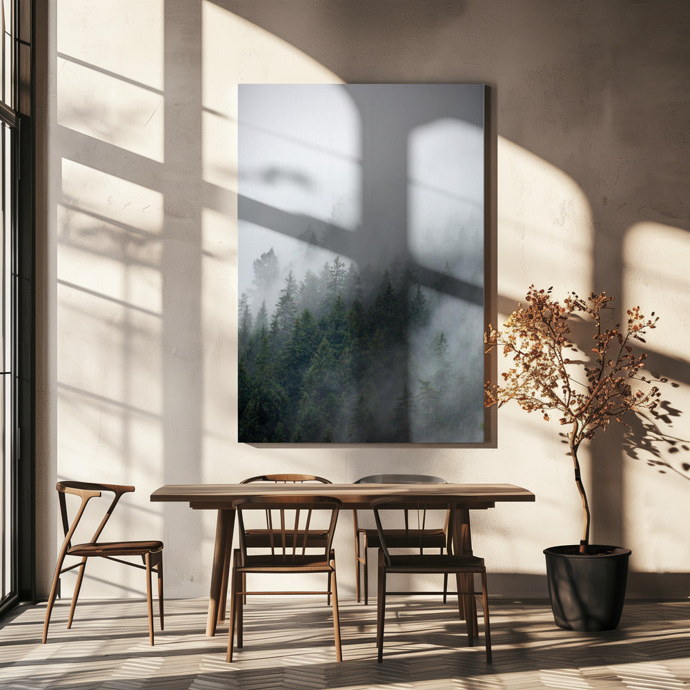 Boggy Morning 2 | Canvas