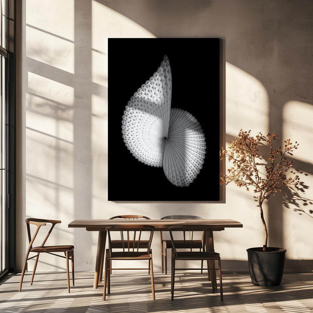 Sculpture en forme de nautile | Toile
