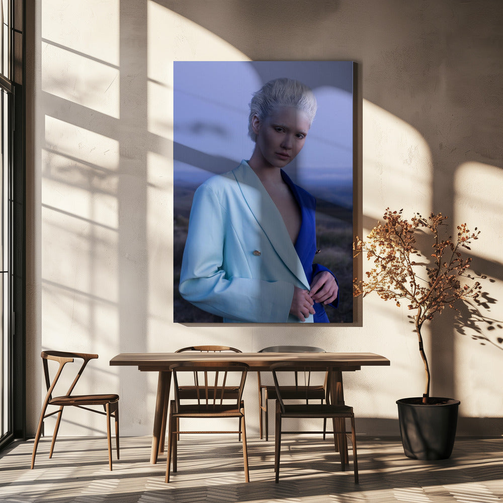 LA REINE DES NEIGES | Toile