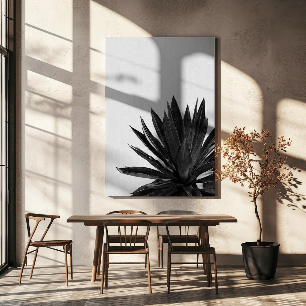 Cactus Agave Noir et Blanc | Toile
