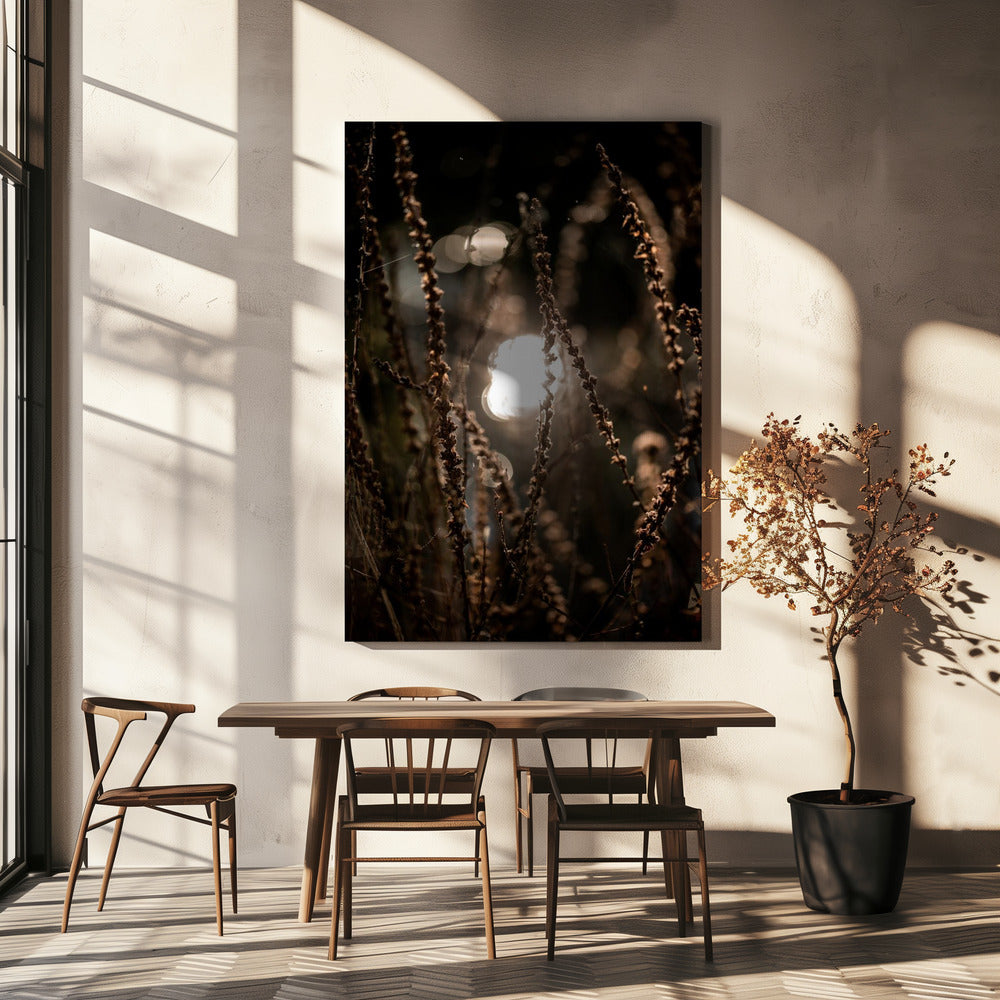Autumn Lights 2 | Canvas