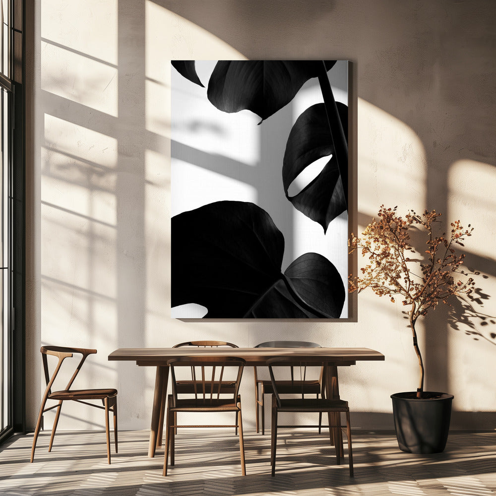 Monstera contrastée | Toile