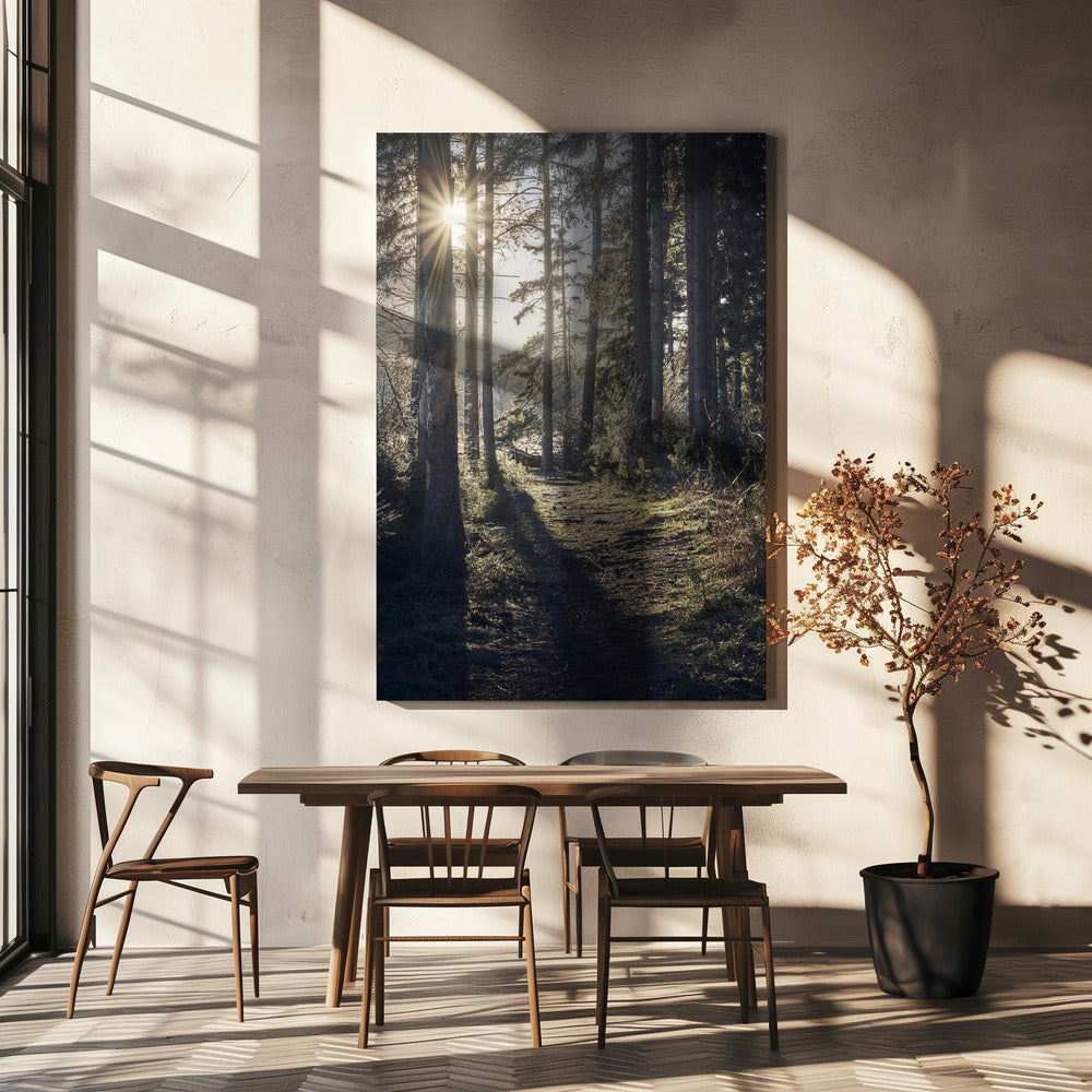 DSF2913 HDR 1 | Toile