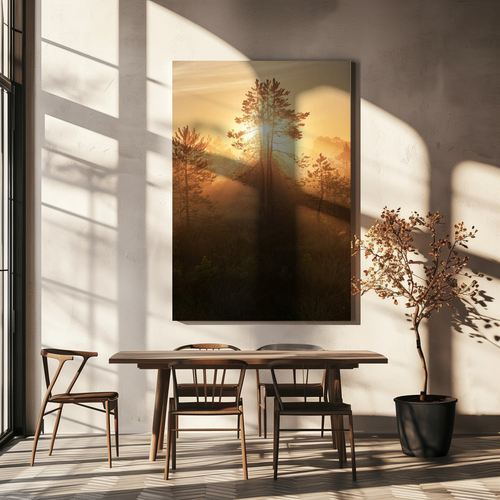 20220809 DSF8009 HDR 1 | Toile