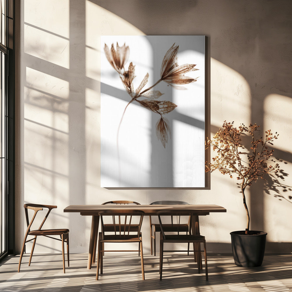 Golden Pant | Canvas