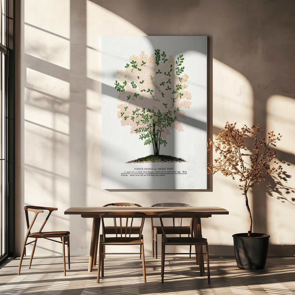 Lithographie de l'arbre à franges violettes | Tableaux sur Toile
