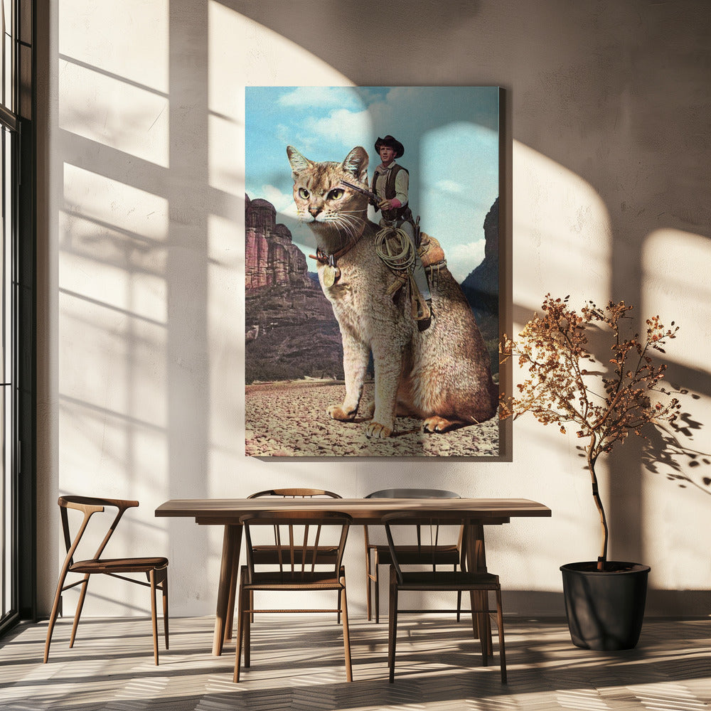 Katze Lone Ranger | Leinwand-Bilder