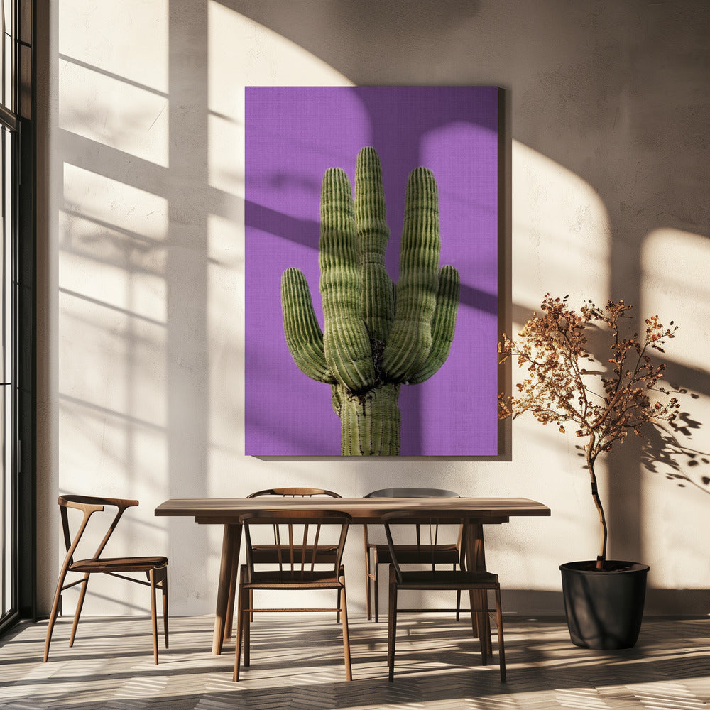Cactus violet | Toile