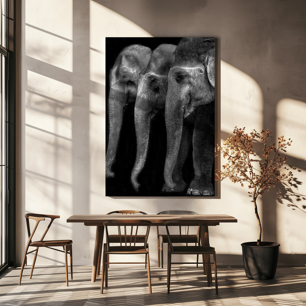 Das große Meisterwerk der Natur, ein Elefant; das einzige harmlose große Ding ... | Leinwand-Bilder