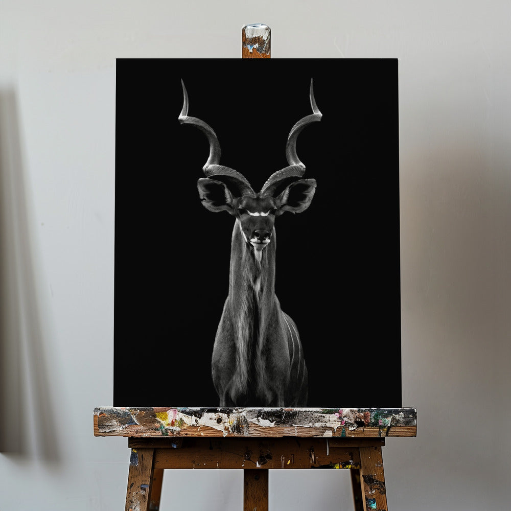 Greater Kudu | Canvas