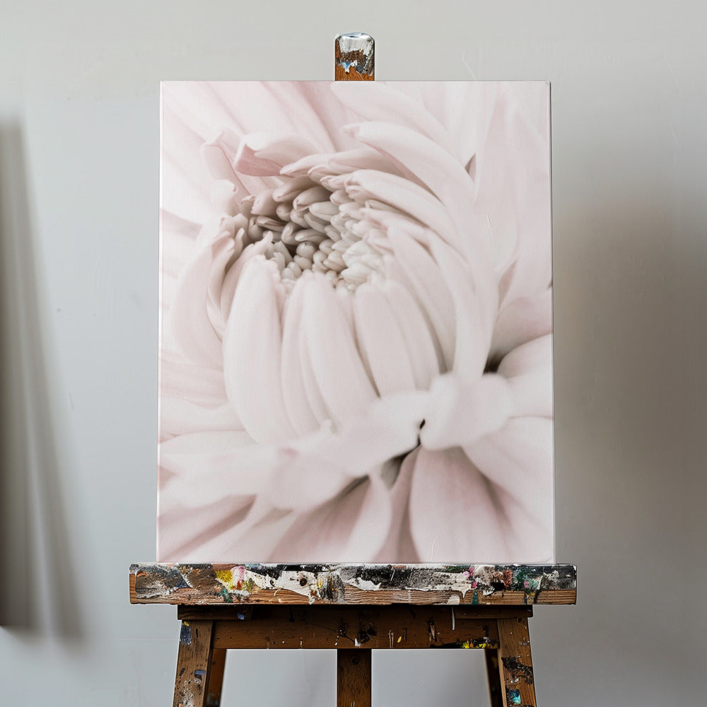 Chrysanthemum No 05 | Canvas