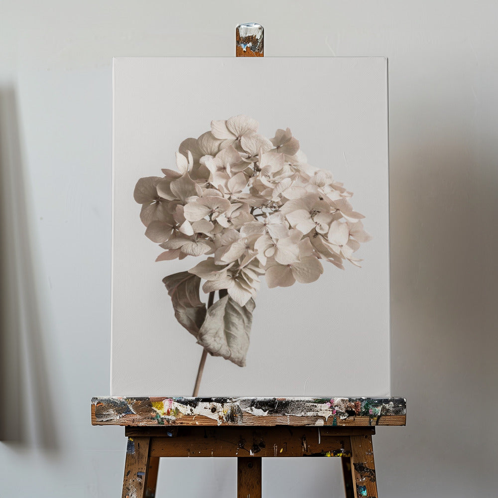 Beige torkad blomma | Canvas