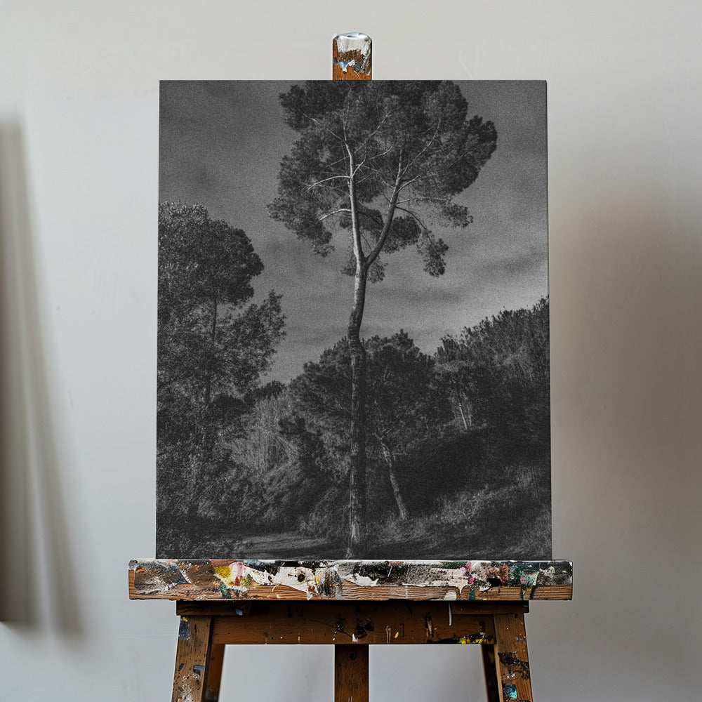 träd | Canvas