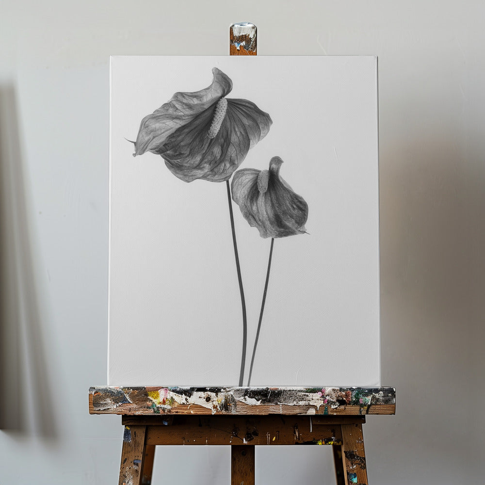 Anthurium | Canvastaulut