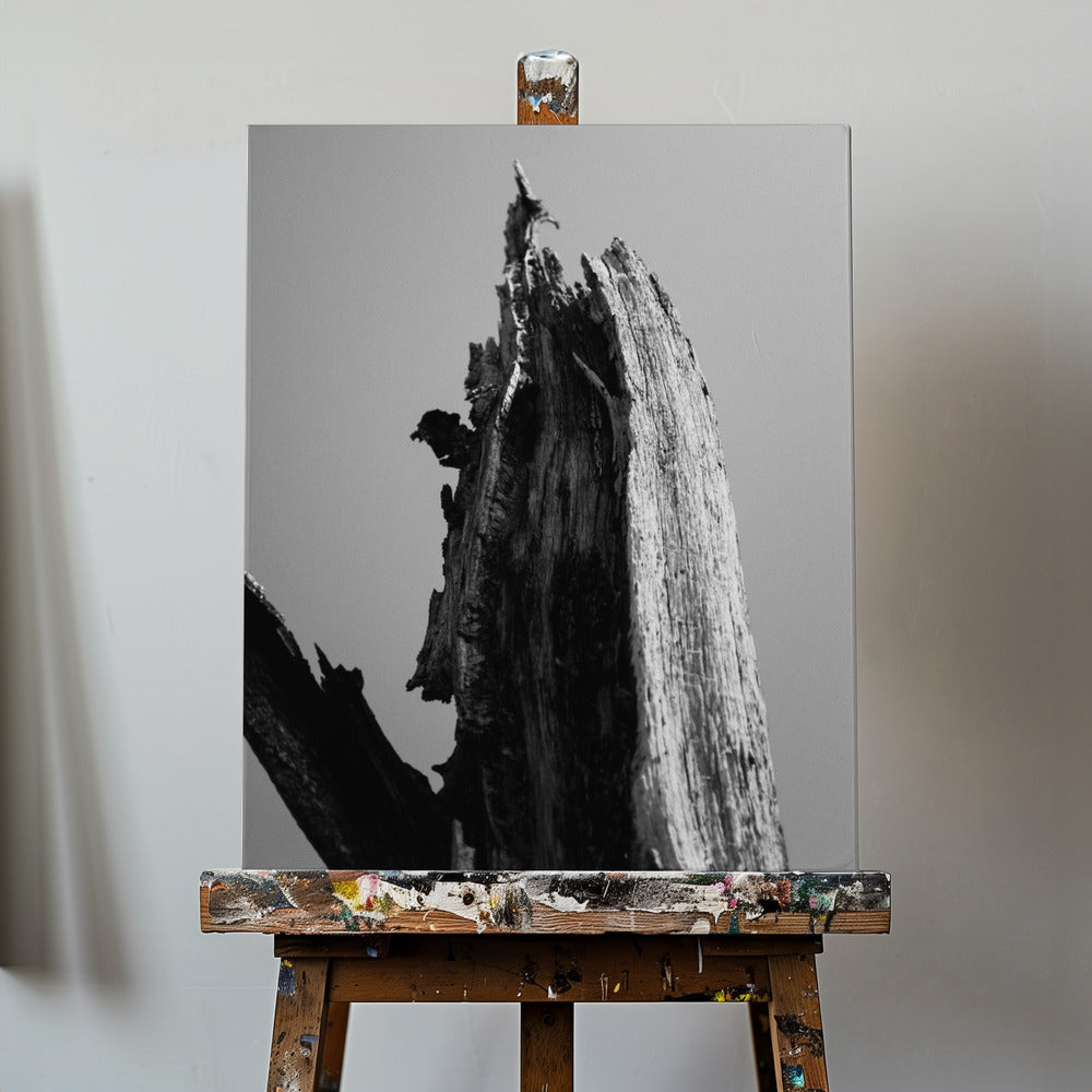 Våtmarker 1 | Canvas