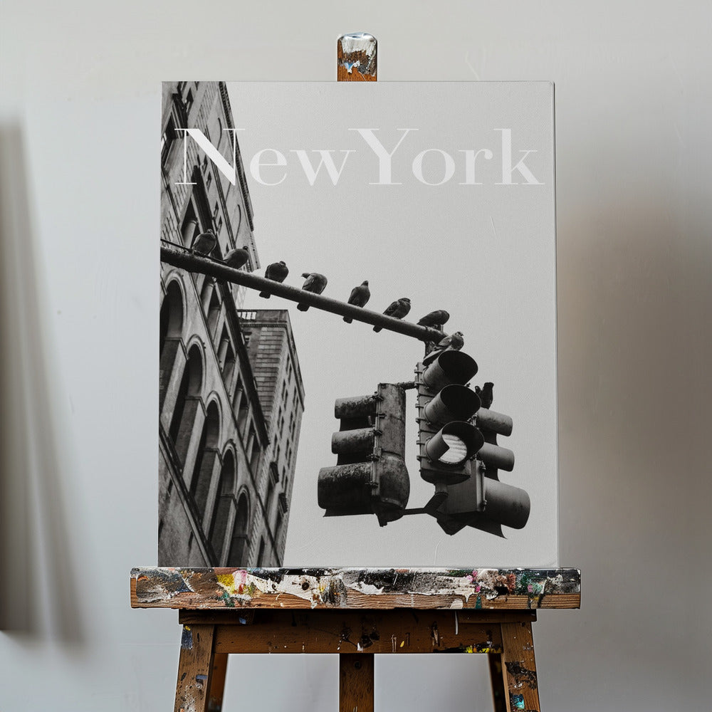 Colombe di New York | Stampe su Tela