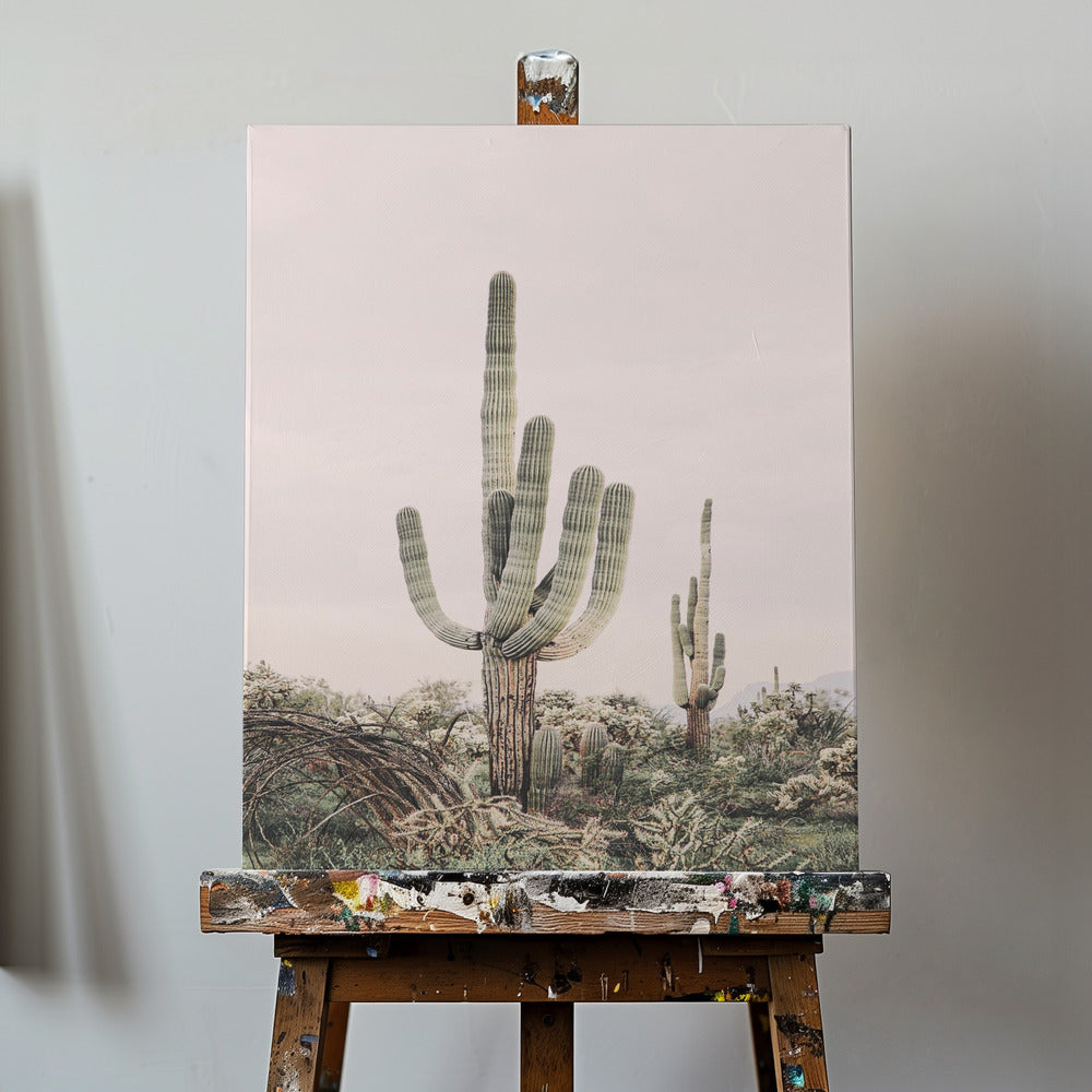 Rosa Saguaro | Canvas
