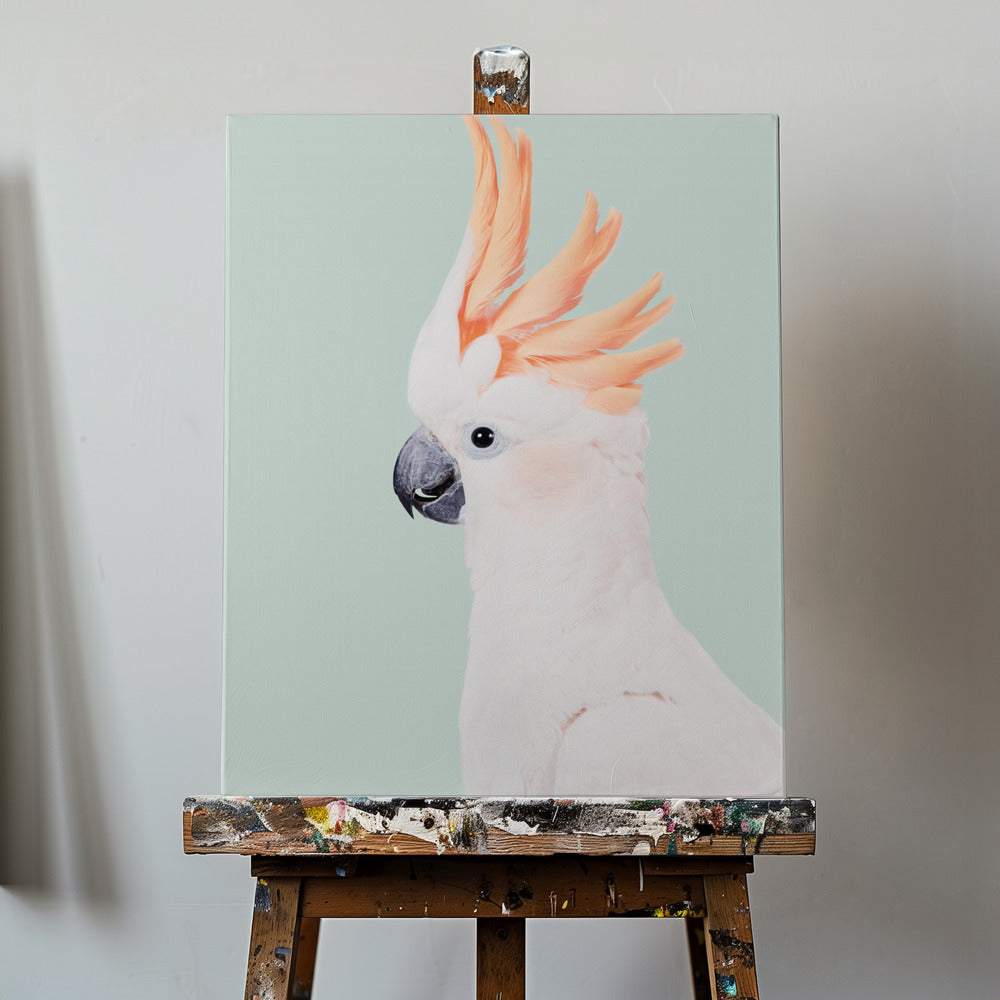 Kakadua | Canvas