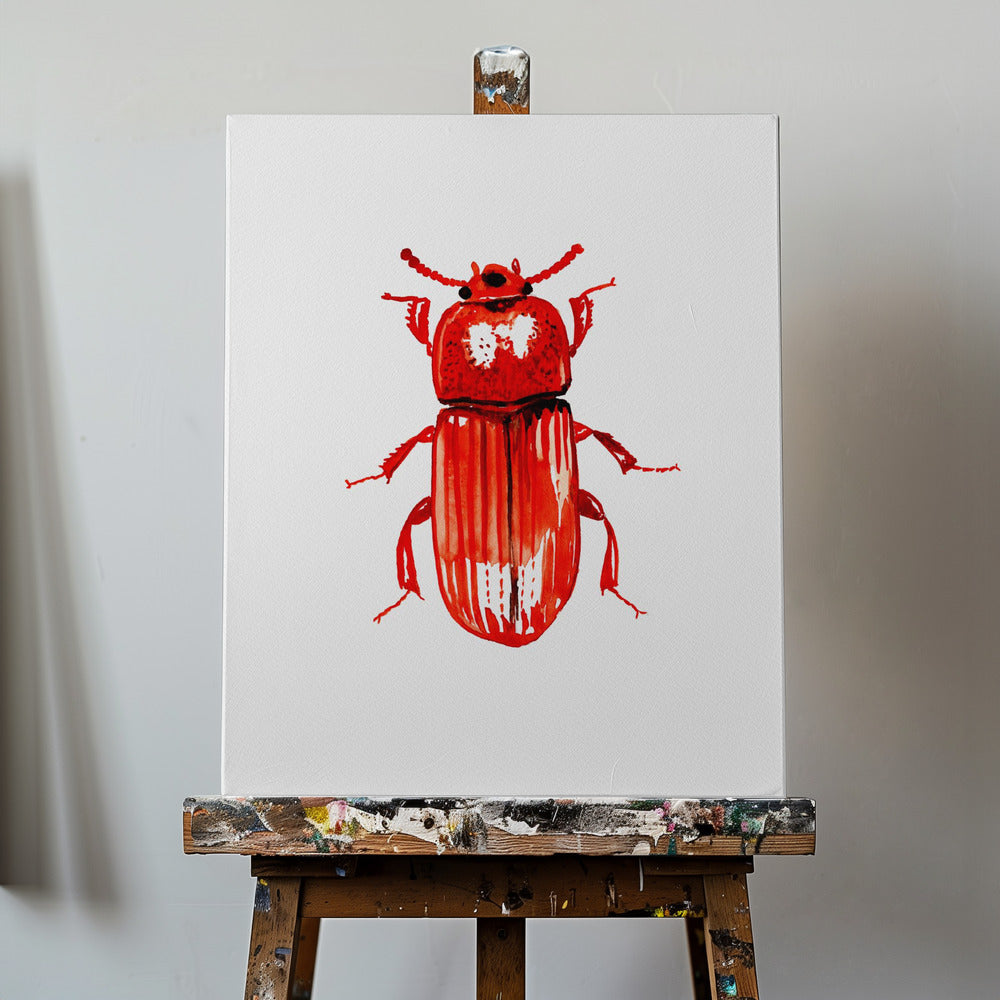 Uloma culinaris | Canvas