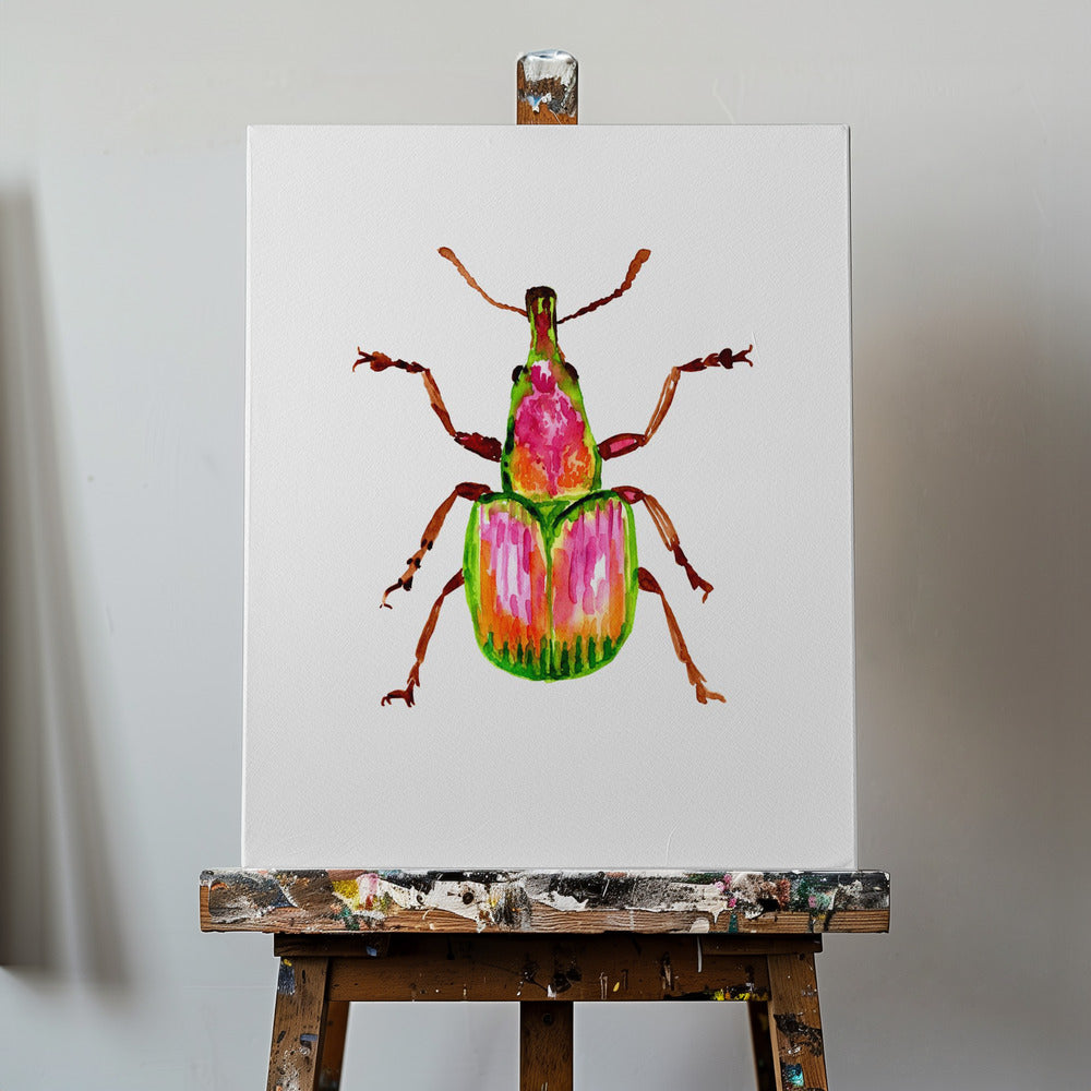 Apricot weevil or Epirhynchites auratus | Canvas