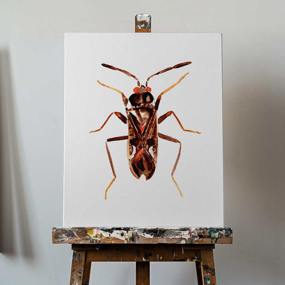 Dirt-colored seed bug or Rhyparochromus vulgaris | Canvas