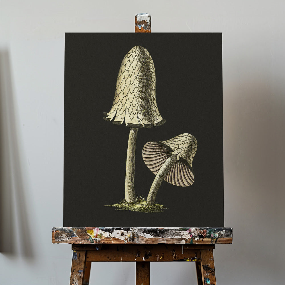 Vintage Inky Cap Syötävä sieni mustalla taustalla | Canvastaulut