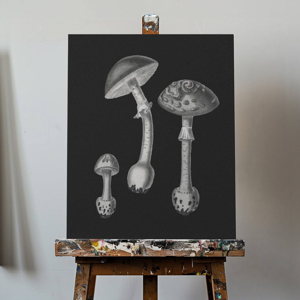 Punakärpässieni (Amanita Muscaria) Musta tausta BW | Canvastaulut