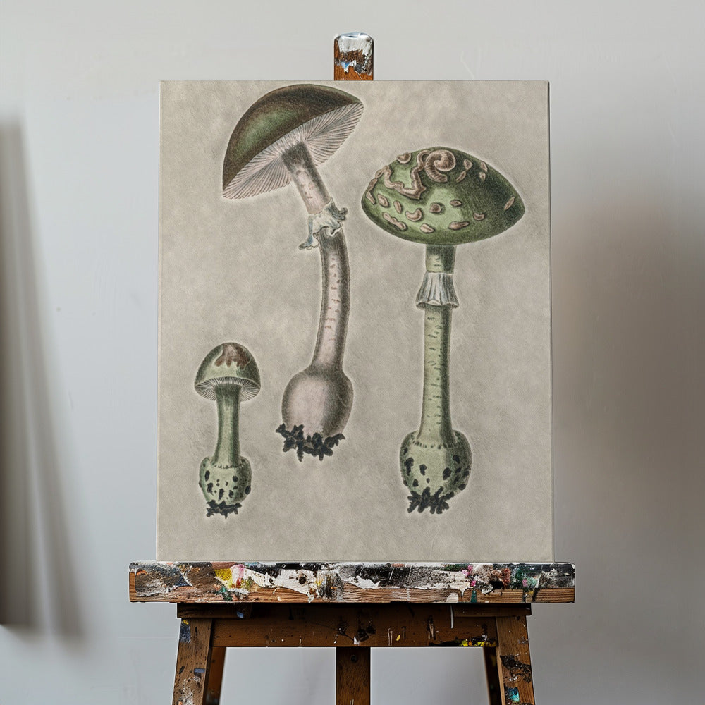Amanita Muscaria Remix Green | Impresiones en Lienzo