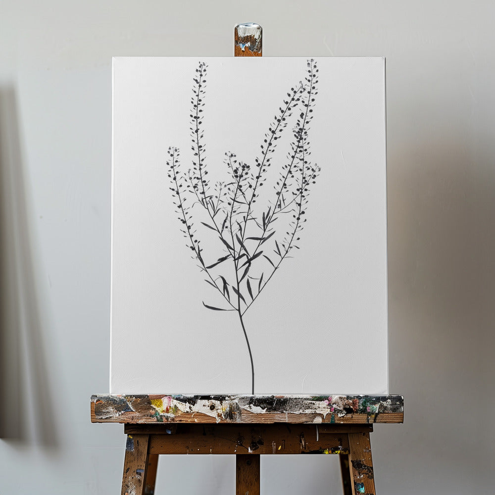 Delicate Plant I | Canvas