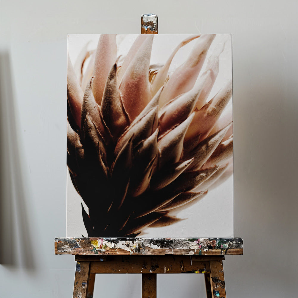 Protea | Canvas