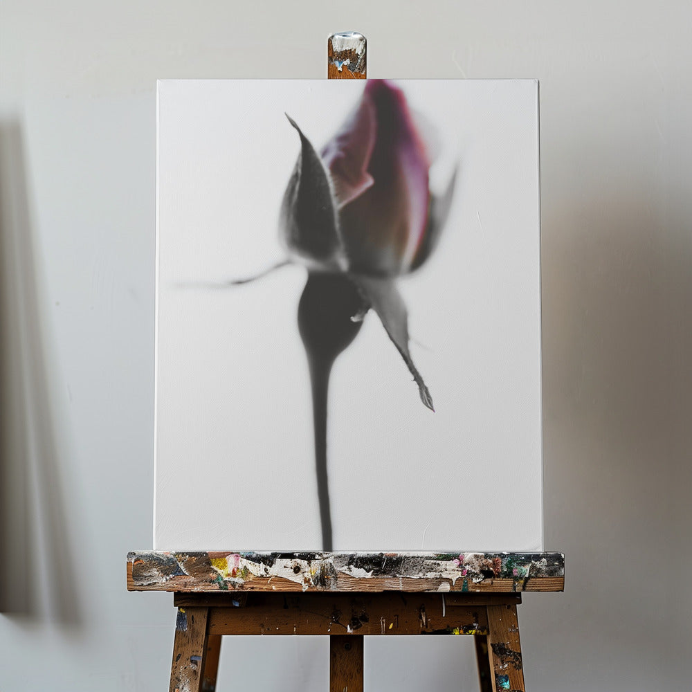 Elegant Rose | Canvas