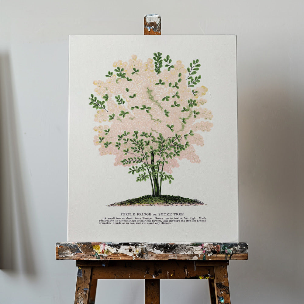 Lithographie de l'arbre à franges violettes | Tableaux sur Toile