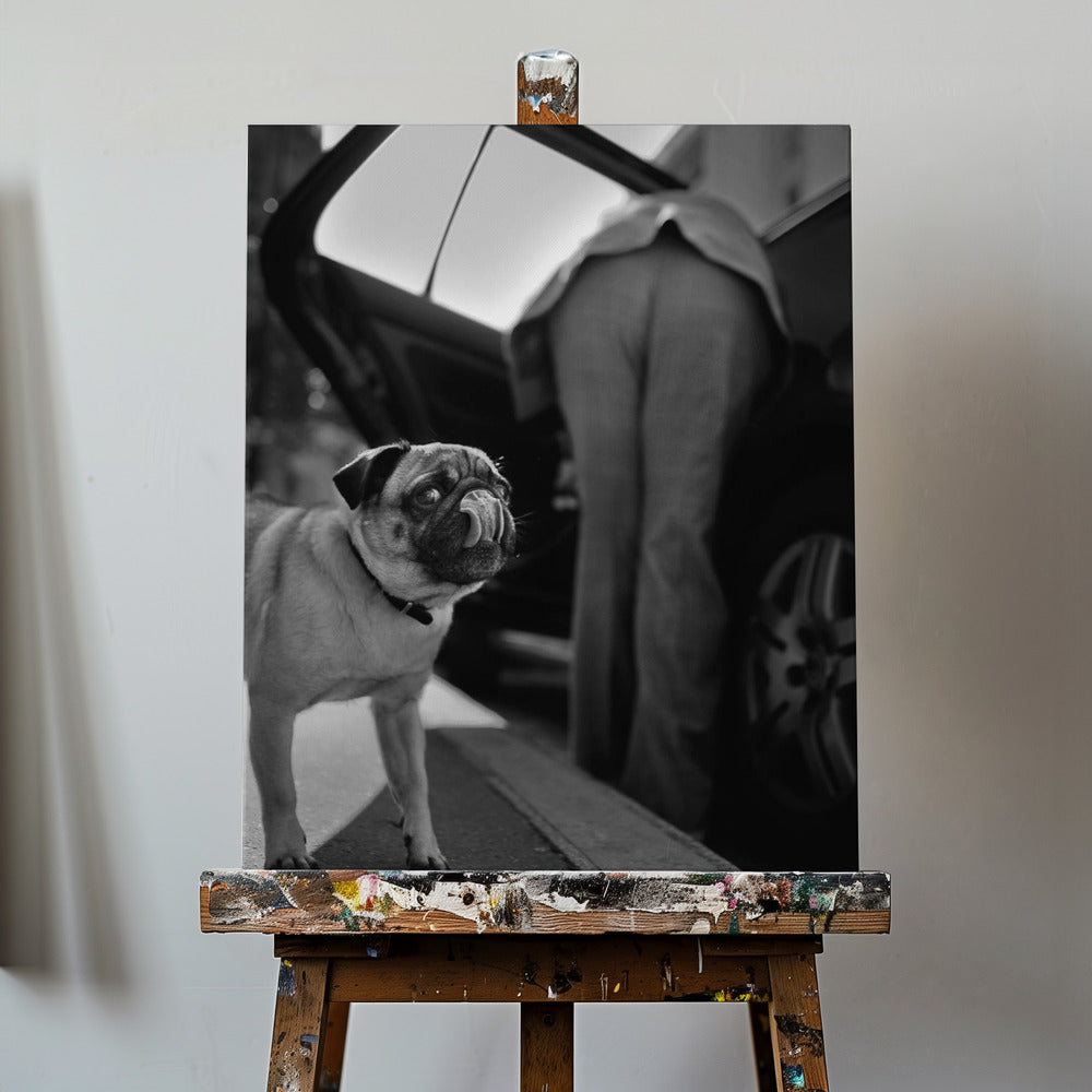 Uten tittel | Lerretsbilder