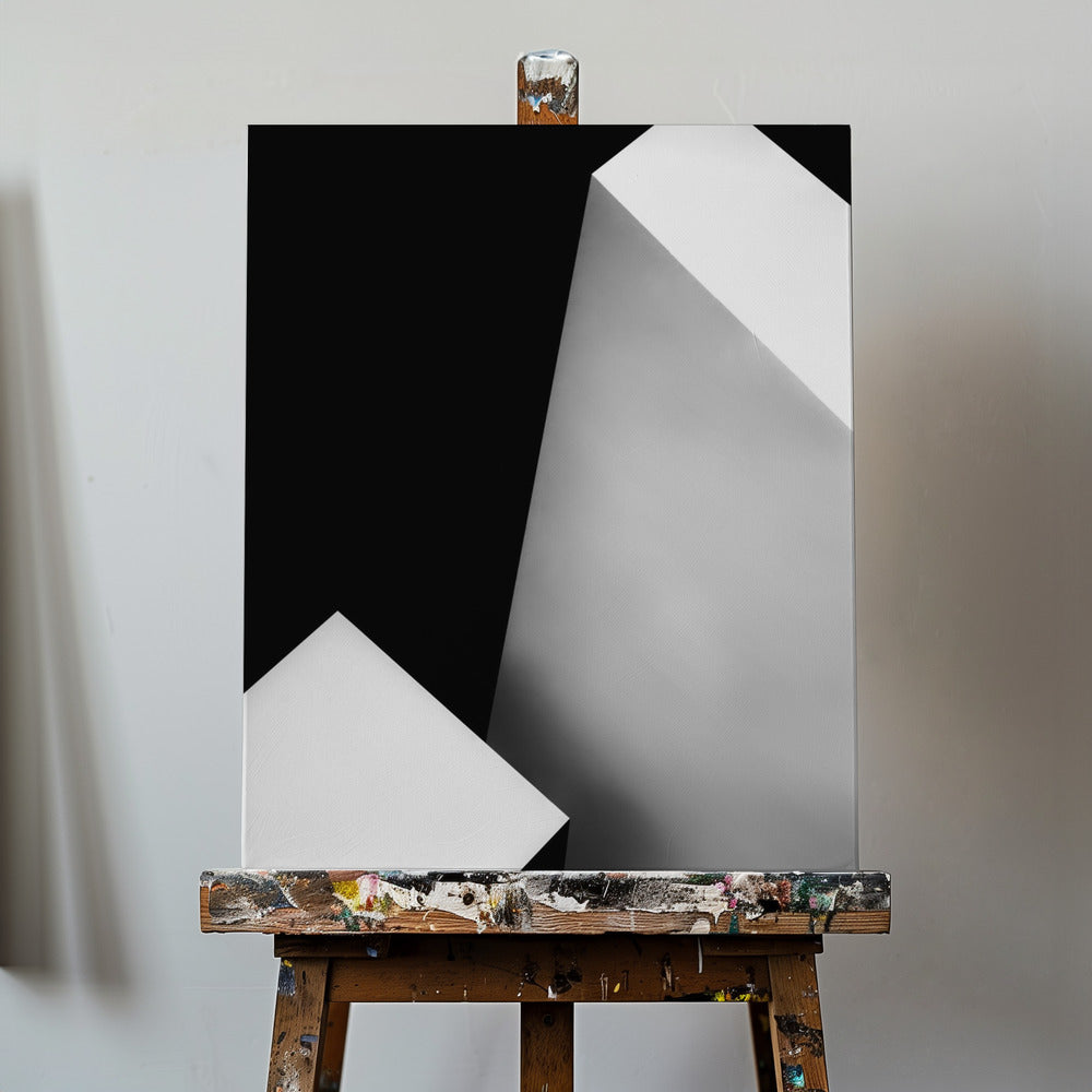 Blanco y negro | Impresiones en Lienzo