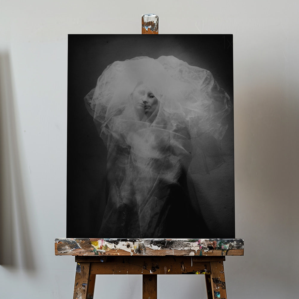 Meduse | Leinwand-Bilder