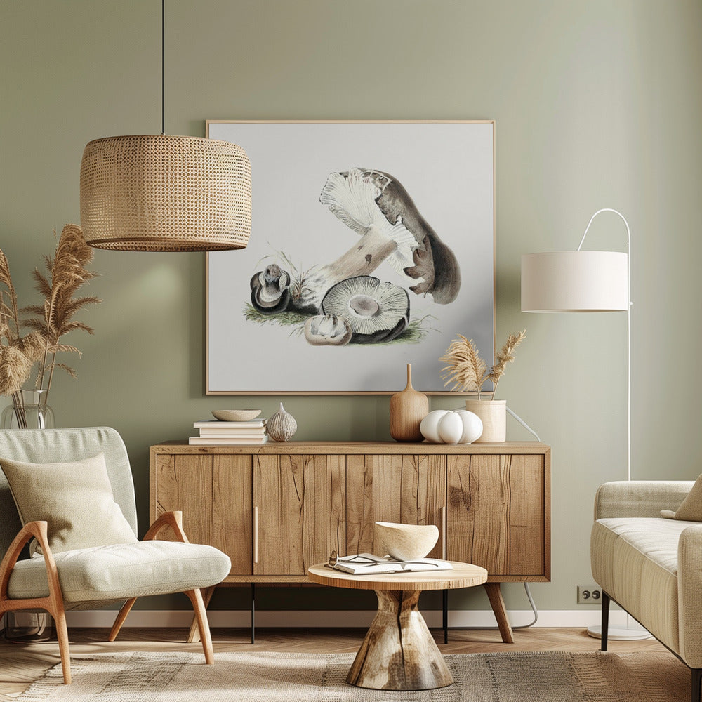 Champignon Agaricus Augustus vintage | Tableaux sur Toile