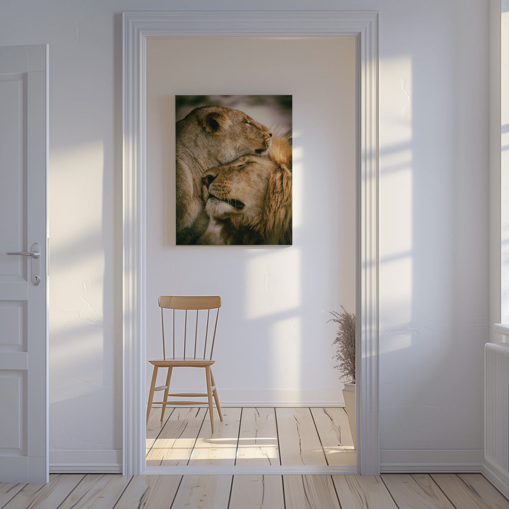 What is love | Canvas