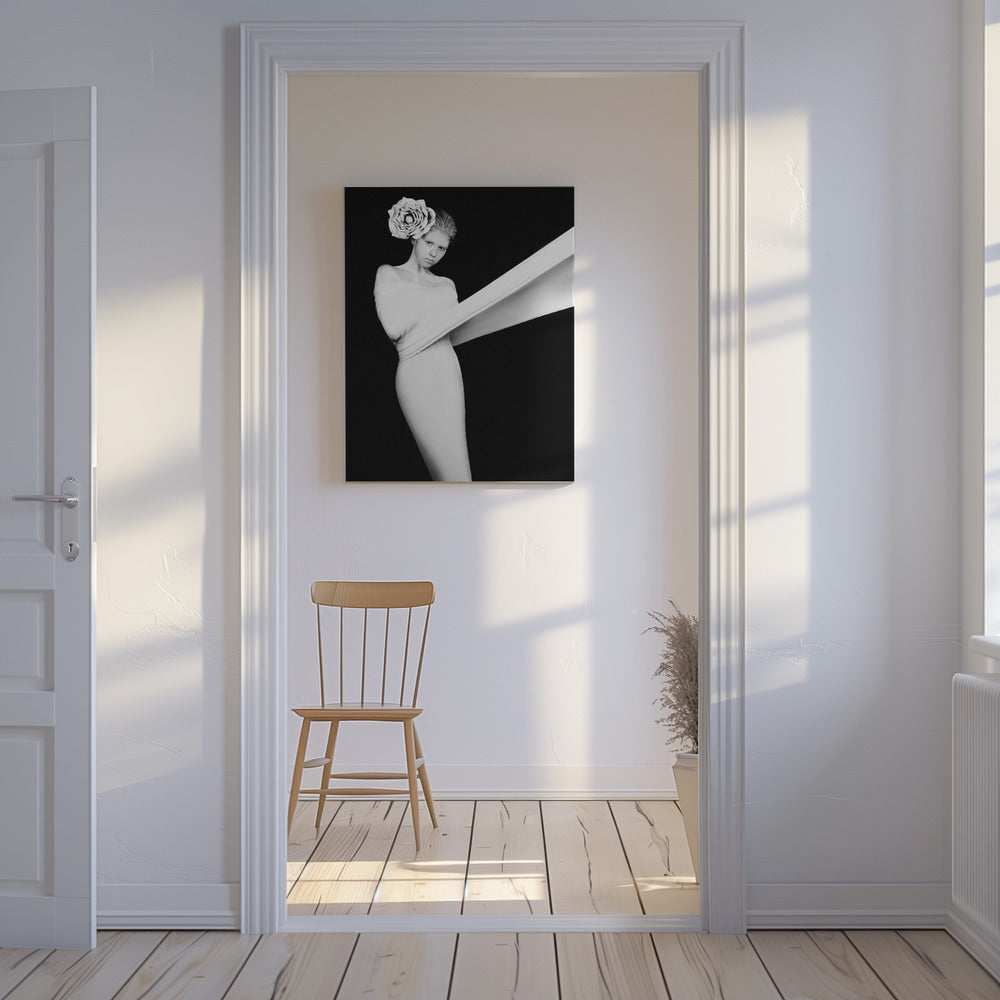 Elegant Enigma | Canvas