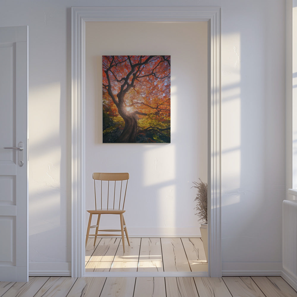 Der japanische Baum | Leinwand-Bilder